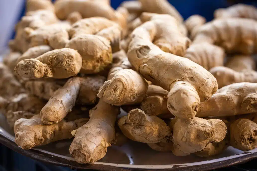 Fresh ginger root for global markets