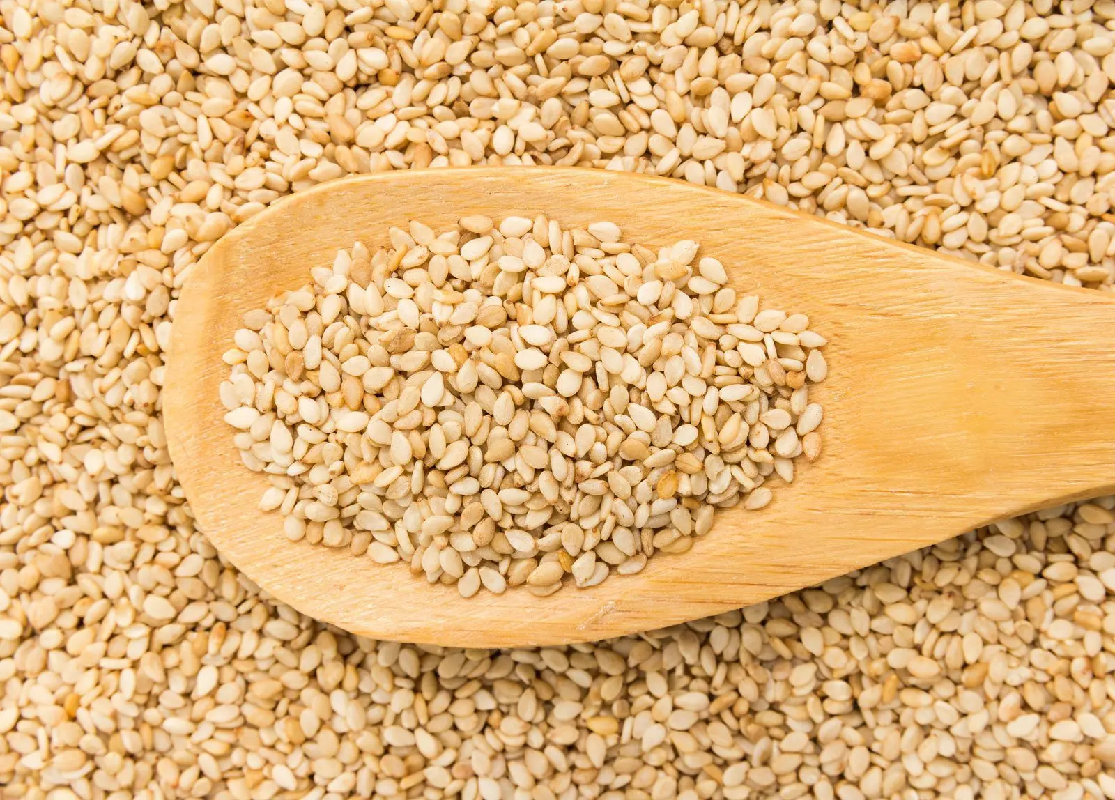 Premium sesame seeds from Nigeria