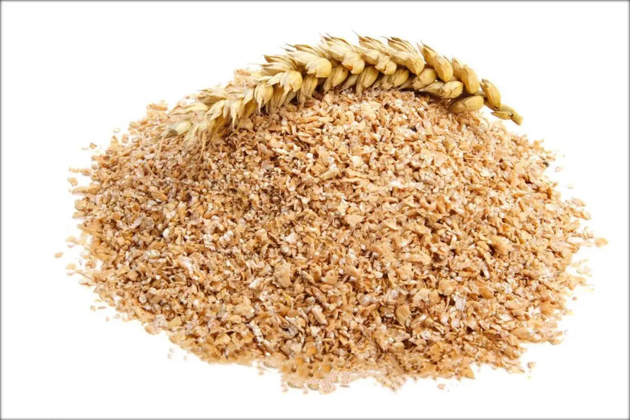 Quality wheat grain for processing and export